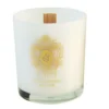 Tiziana Terenzi Spicy Snow świeca zapachowa 170g